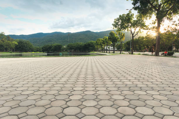 Professional Driveway Pavers in Rangely, CO